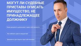 Что из имущества могут забрать приставы в Улыбка Радуги