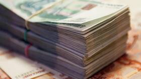 Что такое капитал в ООО в Улыбка Радуги