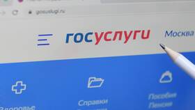 Как подать заявление на работу через портал Госуслуги в Улыбка Радуги