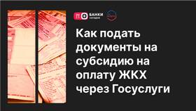 Как получить справку формы 7 через Госуслуги в Улыбка Радуги