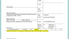 Как проверить оплату таможенной пошлины в Улыбка Радуги