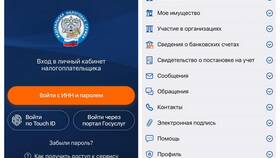 Как скачать декларацию через Личный кабинет налогоплательщика в Улыбка Радуги