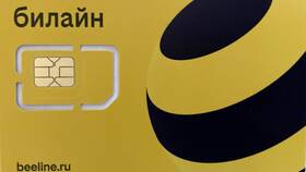 Как снять блокировку номера Билайн в Улыбка Радуги