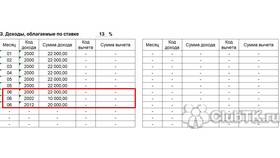 Код 2010 НДФЛ: что означает в Улыбка Радуги