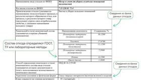Почему нельзя отправлять фото паспорта: риски и последствия в Улыбка Радуги