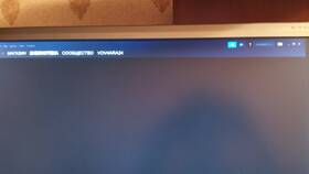 Почему Steam аккаунт не в сети в Улыбка Радуги