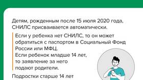 СНИЛС организации: что это в Улыбка Радуги