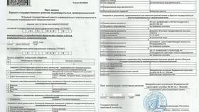 Свидетельство о государственной регистрации ИП: что это в Улыбка Радуги