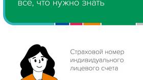 Зачем иностранцу российский СНИЛС в Улыбка Радуги
