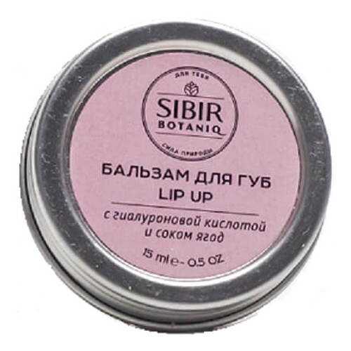 Бальзам для губ Lip Up с гиалуроновой кислотой Sibirbotaniq, 15 мл в Улыбка Радуги