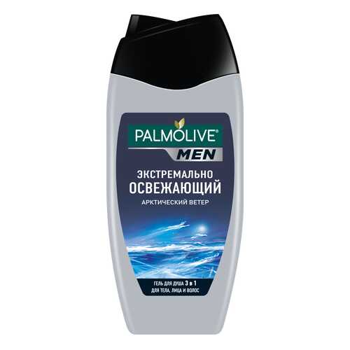 Шампунь Palmolive Арктический ветер 250 мл для мужчин в Улыбка Радуги